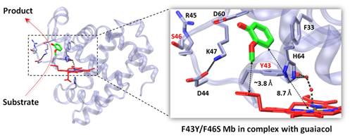 PA视讯集团官网
