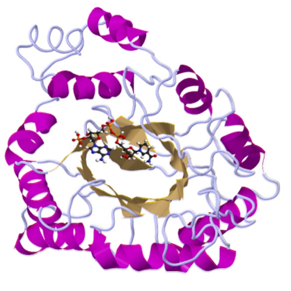 PA视讯集团官网