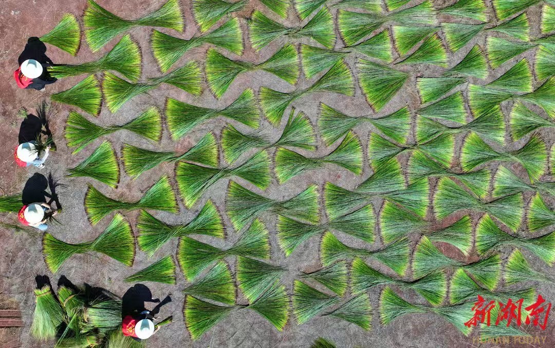 PA视讯集团官网