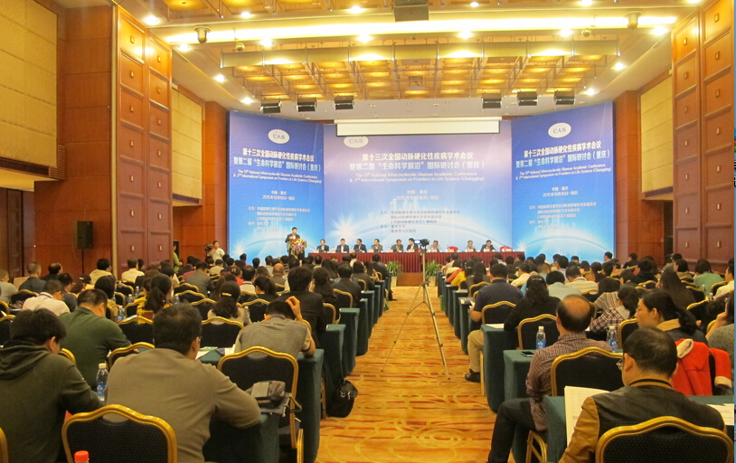 PA视讯集团官网